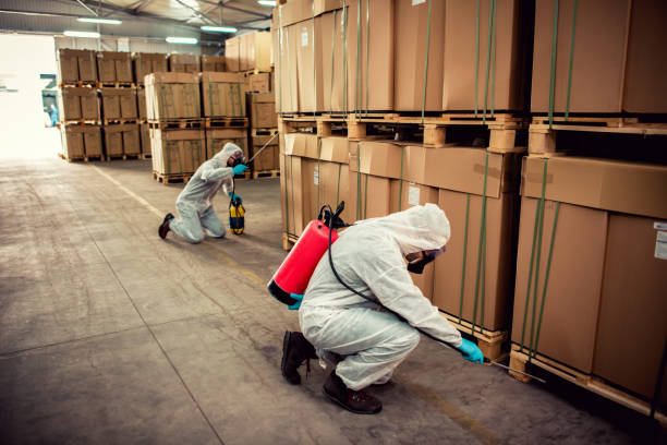 Best Pest Control Near Me  in Dundee, MI