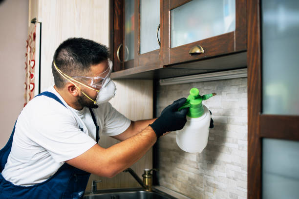 Best Pest Prevention Services  in Dundee, MI