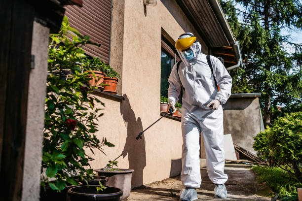 Best Insect Control  in Dundee, MI