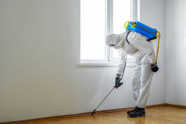 Best Wildlife Control Services  in Dundee, MI