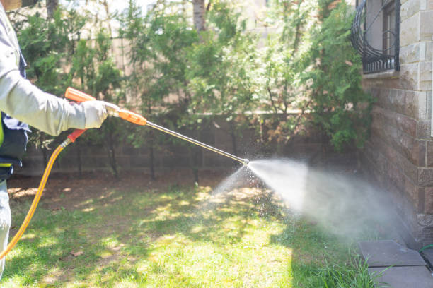 Best Best Pest Control Companies  in Dundee, MI