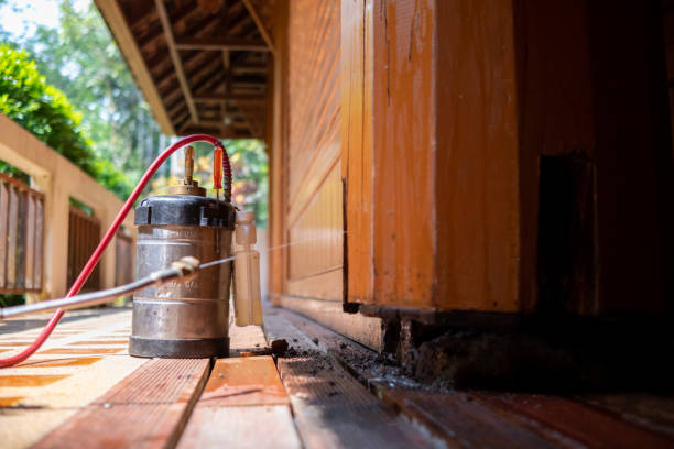 Best Exterminator Services  in Dundee, MI