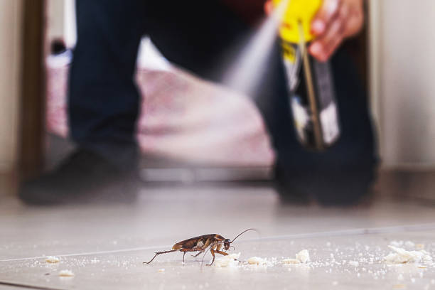 Professional Pest Control in Dundee, MI