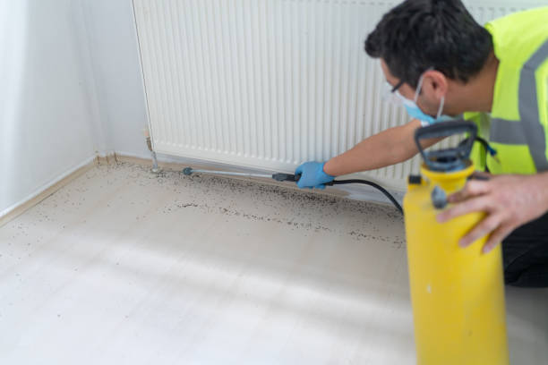 Best Best Pest Control Near Me  in Dundee, MI