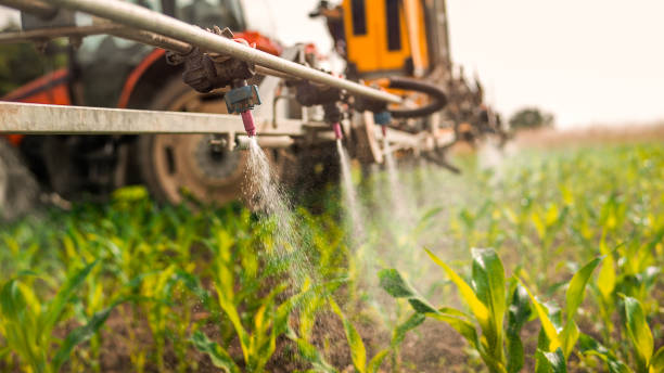 Best Pest Removal Services  in Dundee, MI